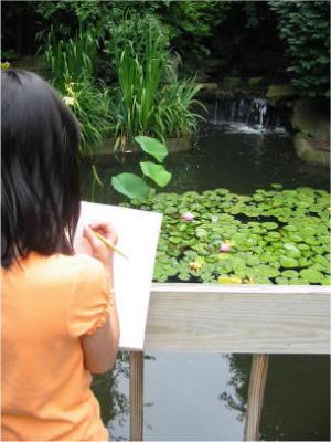 Sketching at the Botanical Gardens in our Neighborhood
